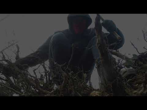 Head-Hunter — Trailer (Inglés)