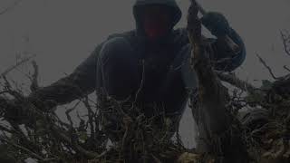Head-Hunter - SHORT FILM (2015)