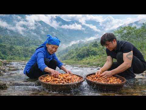 Trinh Ho, a young chef, was taught by her old lady how to cook dishes with traditional ingredients.