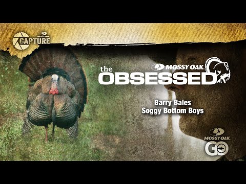 Barry Bales • The Obsessed