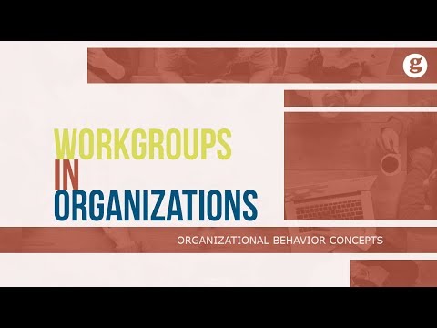 What is Organizational Behavior