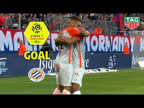 Goal Andy DELORT (37') / SM Caen - Montpellier Hérault SC (2-2) (SMC-MHSC) / 2018-19