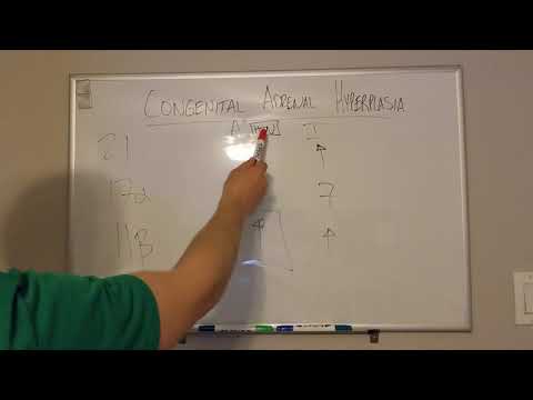 Congenital Adrenal Hyperplasia (CAH) Mnemonic- How to remember it in less than 10 seconds!