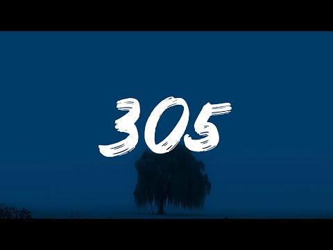 Shawn Mendes - 305 (Lyrics)