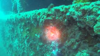 preview picture of video 'DiveTech.dk on Coriolanus with Zeus Faber Diving Center Lanterna, Croatia 16-07-2014'