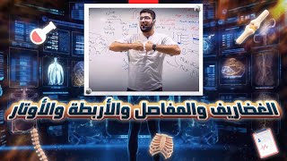 5- ختام الدعامة في الإنسان | غضاريف - مفاصل - أربطة - أوتار | احياء ثانوية عامة ٢٠٢٤ 🔥