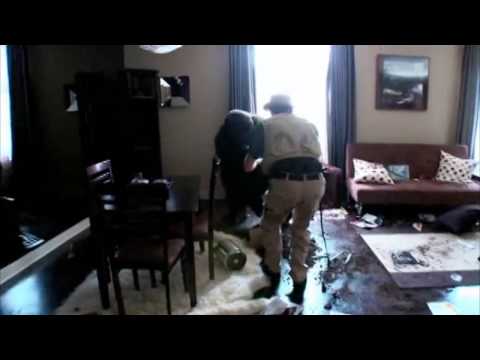 Jackass 3D - Gorilla Smashes Hotel Room Prank Full Scene