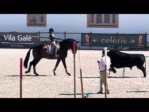 Lara Carreira &  Endiabrado- Maneabilidade 🥇 77%