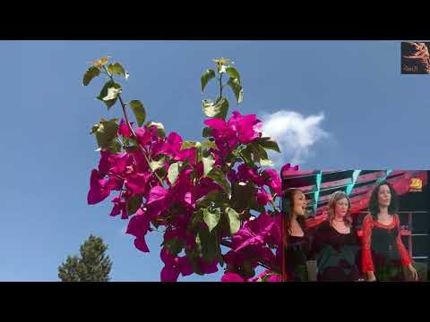 Carmel A-Cappella - Vivaldi - The four seasons - The spring כרמל א-קפלה