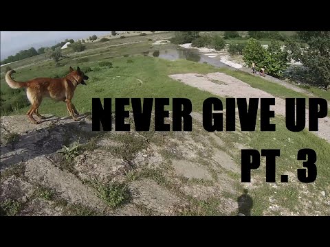 Never Give Up PT. 3/4-Nightcore-Muse- Psycho