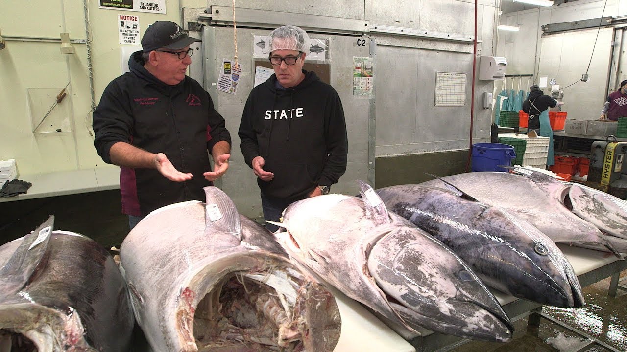 Different Grades of Tuna at the Fish Market