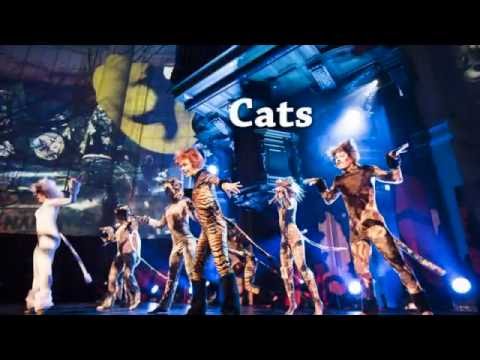 Dinershow / dinner show - musical entertainment and dancers