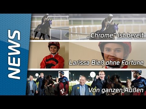 Sport-Welt TV News | 26.02.2016 | California Chrome ist bereit