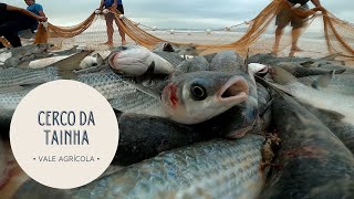 Miniatura do vídeo