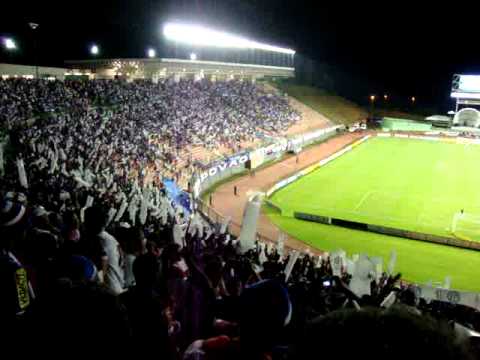 Bahia 3x0 Portuguesa