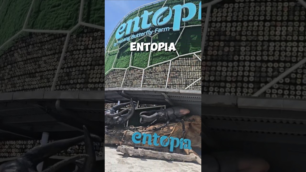 YouTube Short thumbnail