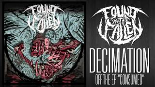 Found In The Fallen - Decimation