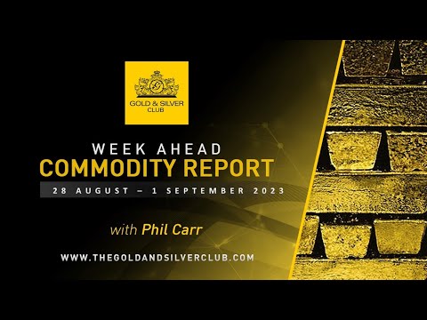 WEEK AHEAD COMMODITY REPORT: Gold, Silver & Crude Oil Price Forecast: 28 August - 1 September 2023
