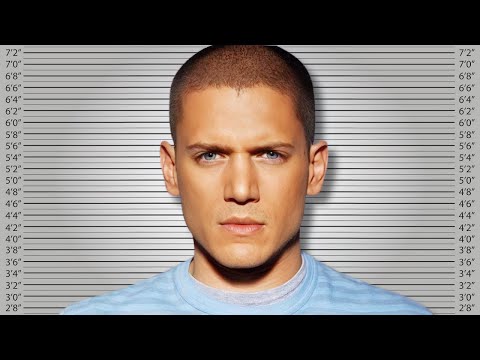 If Michael Scofield Was Charged For His Crimes