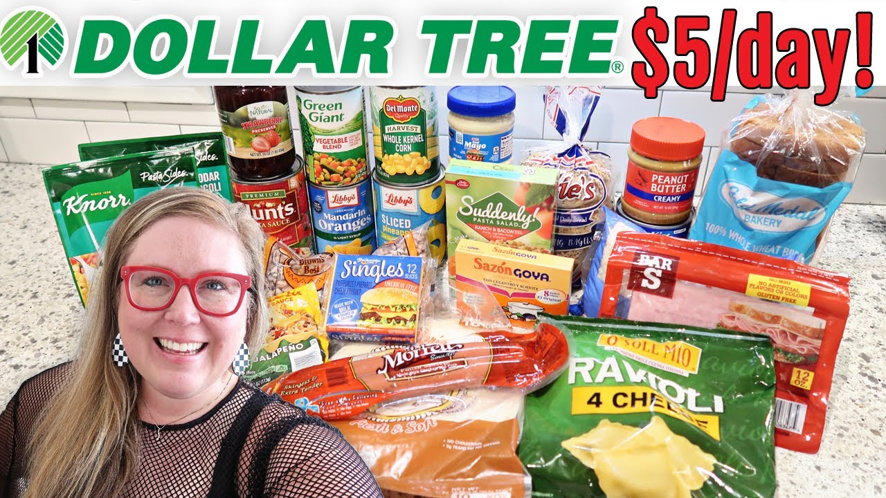 💵$5/day Dollar Tree Meal Plan (Emergency Budget!)