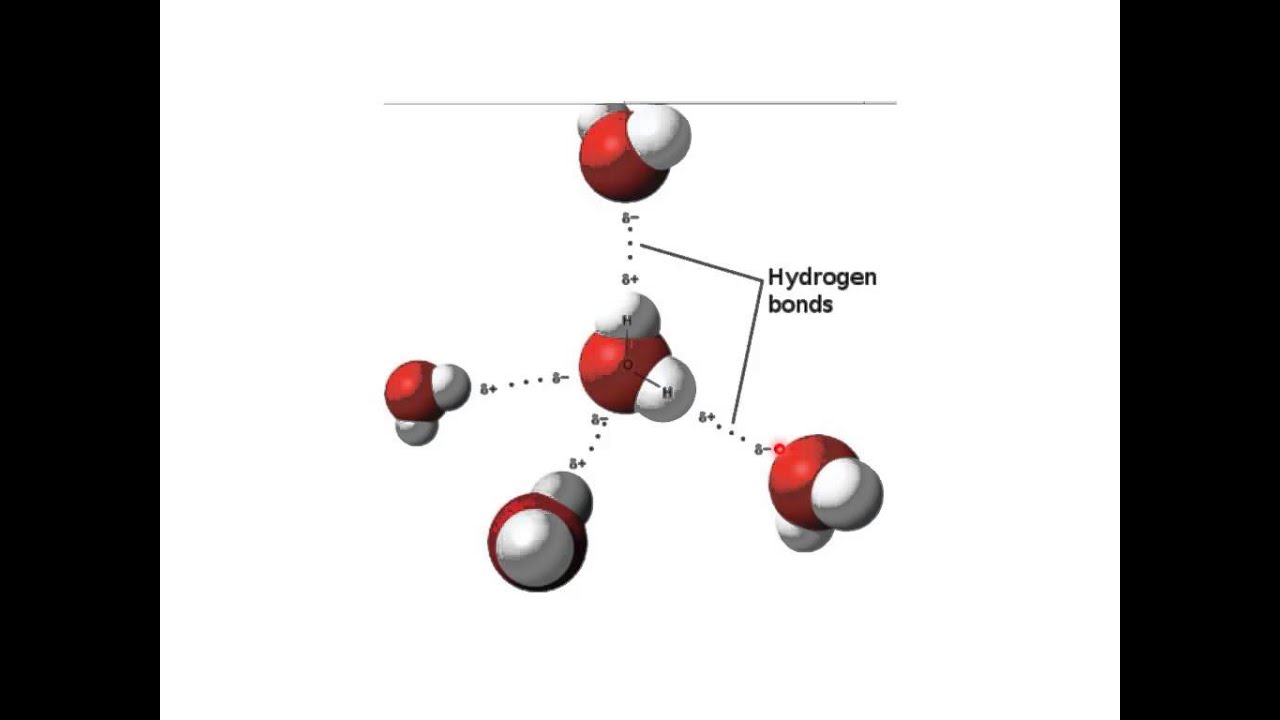 Water Structure and Properties