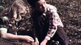 Flying A Kite (1952)