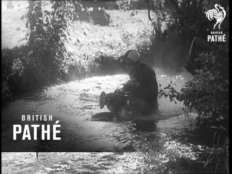 World News - Germany (1956)