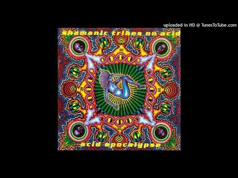 SHAMANIC TRIBES ON ACID - FULFILL YOUR DESTINY