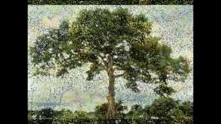 El árbol - los tucanes de tijuana