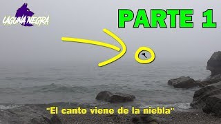 HOMBRE GRABA EL CANTO DE UNA SIRENA ¿REAL O FAKE?