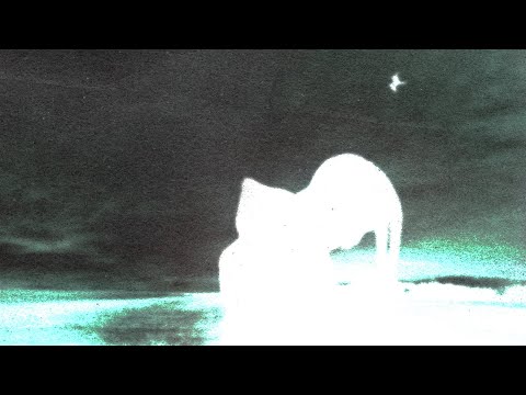 $ierra "Zasięg" [Official Video]