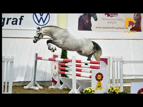 Django v.  Del Piero - Fernet