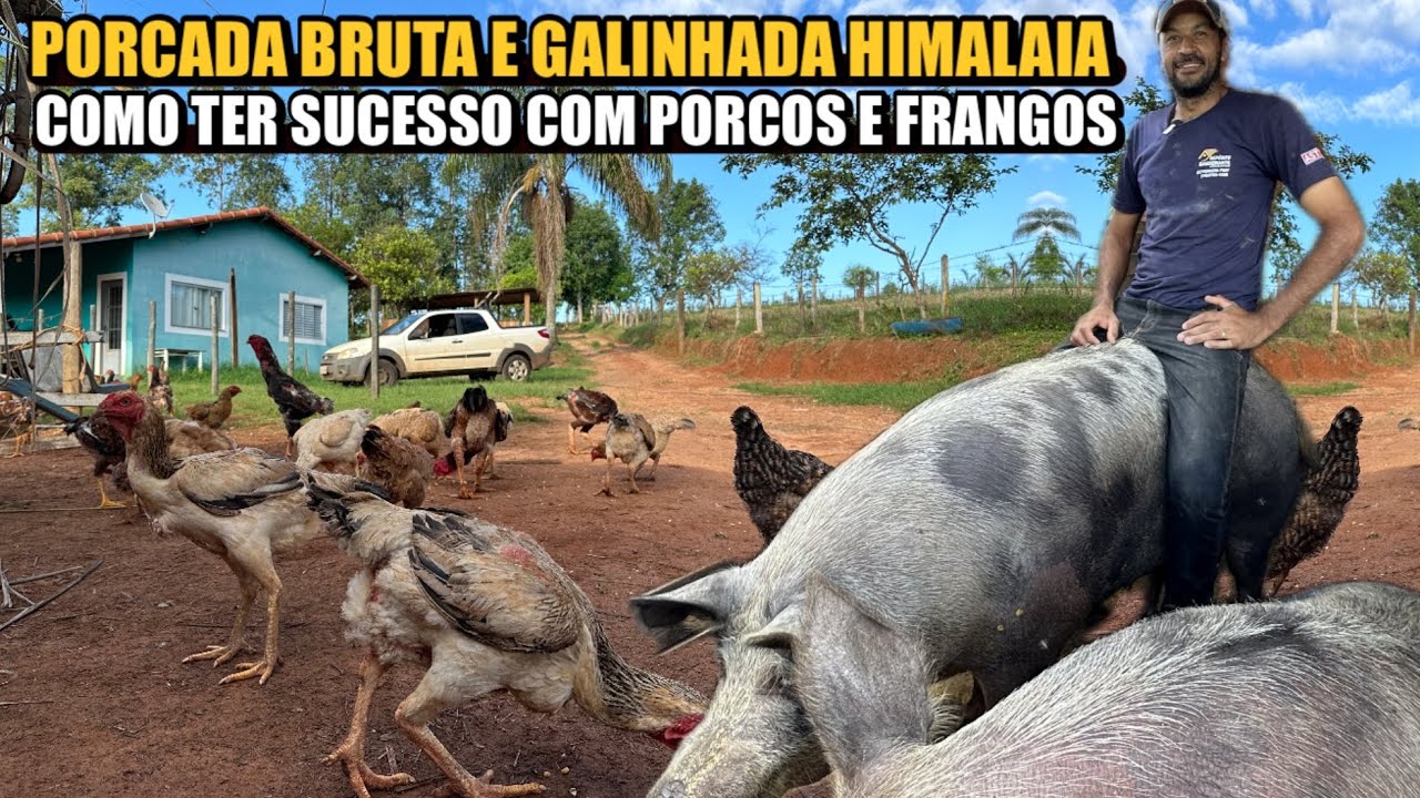 AS CRIAÇÕES GIGANTES DO GUILHERME
