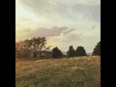 alvedon- retire (the music video) (sped up)