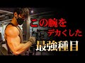 私が今まで一番やり込んで効果があった種目教えます【圧倒的腕編!】