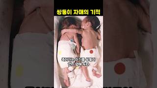 Download lagu 죽어가는 아기를 쌍둥이 언니 옆에 두자 기적이 일어나는데... mp3 Download lagu 죽어가는 아기를 쌍둥이 언니 옆에 두자 기적이 일어나는데... mp3