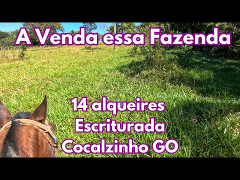 For Sale this 14-acre farm with registered title - Cocalzinho GO
