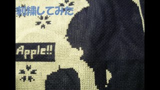 【刺繍してみた】 Bad Apple!!刺繍してみた【東方Project】