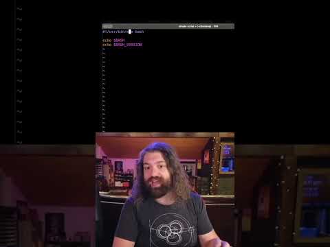 bin bash vs usr bin env bash... shebang differences