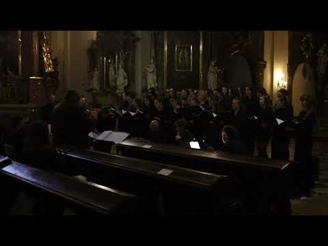 Sbor PdF MUNI - Loutna česká, 1.11.2023