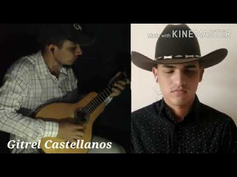 Guayabo Empedernido | Luis Bianchi |