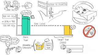 Illustrated video 1: Overview of steps to applying the standard
