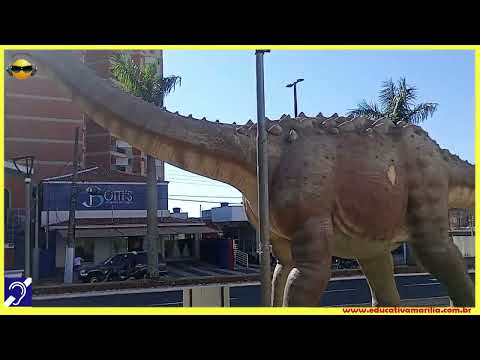 Tv Educativa Giro Pela Cidade Avenida Sampaio Vidal Praça da Bandeira Complexo Artístico Bráz Aléssio - Marília S.P.