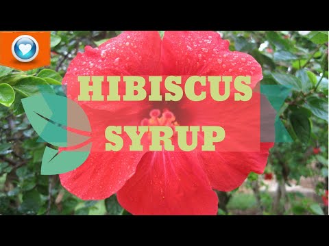 , title : 'How To Make Hibiscus Syrup + More recipes | Cara Membuat Sirap Hibiscus + Resepi Lebih Lanjut!'