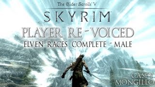 Skyrim - Player Re-Voiced - for Skyrim PS4, Xbox One, and PC