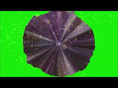 BAUD  -  Taromine (Original Mix)  [Video]