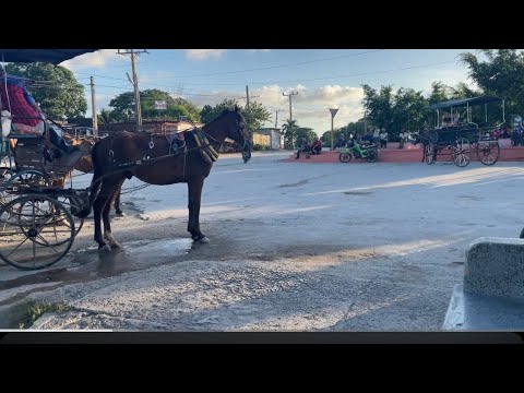 Este es el centro de mi pueblo Media luna Granma🇨🇺