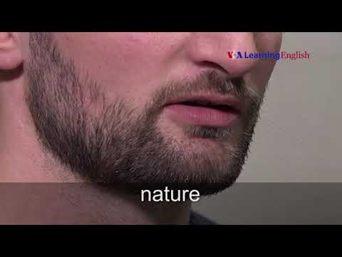 Let's Learn English Lesson 37 Speaking Practice