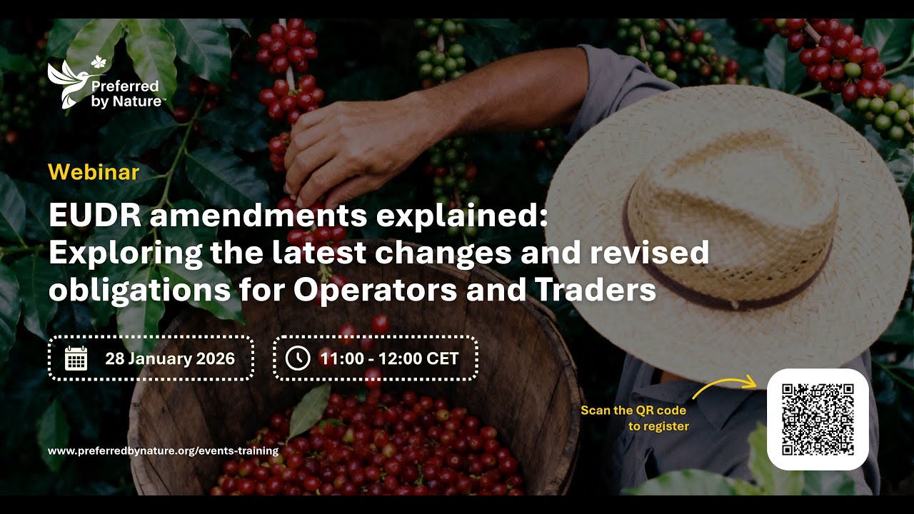 EUDR amendments explained: Exploring the latest changes for Operators and Traders