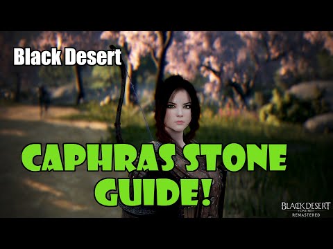 [Black Desert] Caphras Stone / Ancient Spirit Dust Guide for Beginners / New Players